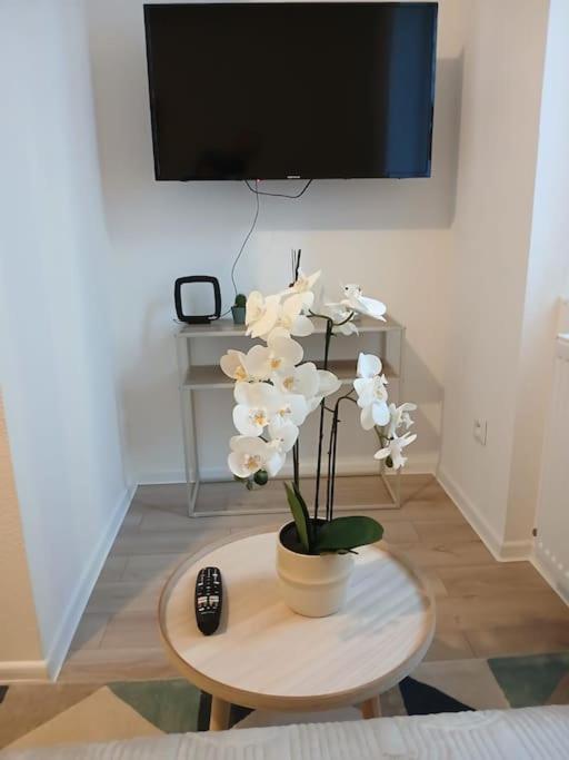 Appartement F1 Orchidee Mulhouse Esterno foto